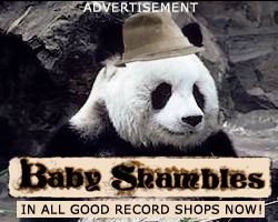 Babyshambles