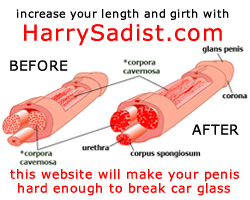 car glass