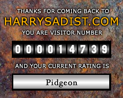 Visitor rating: 09